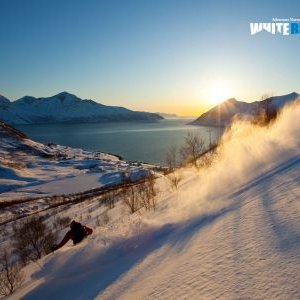 Profile Picture of Jason Bayley (@Jason__Bayley) on Twitter