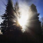 Profile Picture of Jerome Matthews (@j.w.matthews) on Instagram