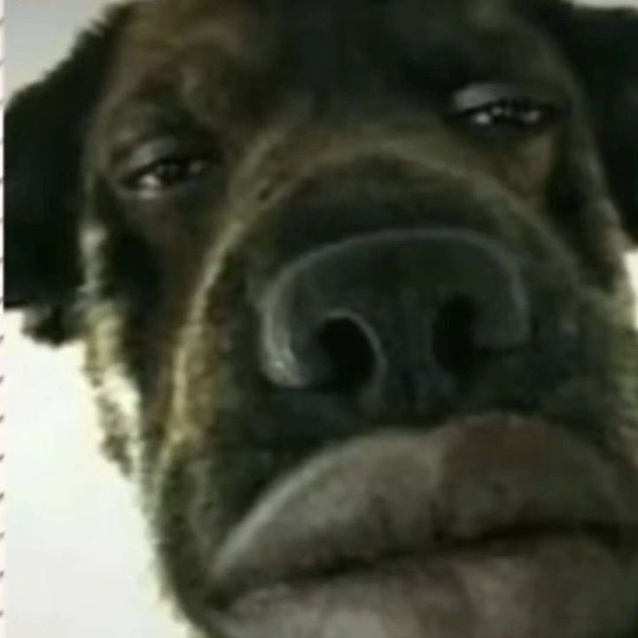 Profile Picture of Eli bishop (@elibishop01) on Tiktok