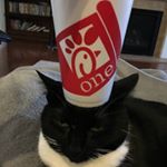 Profile Picture of Thomas Thacker (@turtle.tlt) on Instagram