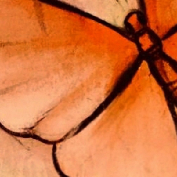 Profile Picture of Christopher Kernion (@radbaddad) on Poshmark