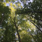 Profile Picture of Haley Scoggins❤️🤤💍 (@southside.jugg03) on Instagram