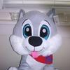 Profile Picture of Daniel Duffield (@@danielduffield5) on Tiktok