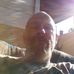 Profile Picture of Robert Suttles (@robert.suttles.779) on Facebook