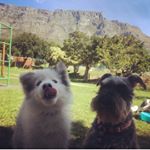 Profile Picture of Neels&Stella (@neels_stella) on Instagram