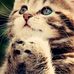 Profile Picture of Andreas Frasunkiewicz (@andreas.frasunkiewicz.5) on Facebook