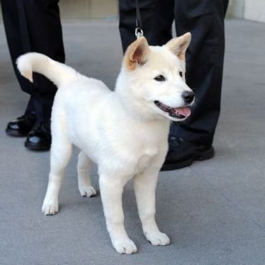 Profile Picture of 안녕 (@IsabelChoi2) on Twitter