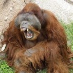 Profile Picture of Sean Eddington (@nyokas_dad) on Instagram