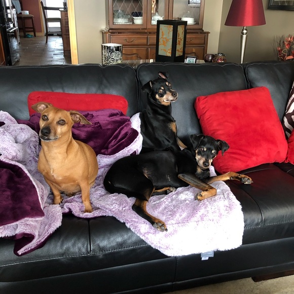 Profile Picture of Elizabeth Zweep (@ezweep) on Poshmark