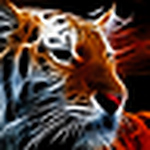 Ahmad Salman - Flickr Profile Picture of Ahmad Salman (@ahmad hashem salman) on Flickr