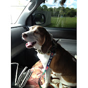 Profile Picture of Jason Hinchman (@hinch83) on Youtube