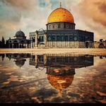 Profile Picture of Nana Faisal Aljamal (@nanafaisalaljamal) on Instagram