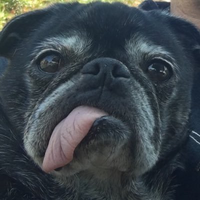 Profile Picture of Mark Manasse (@MarkManasse) on Twitter