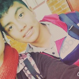 Profile Picture of Bryan Serafin (@serafin_bryan) on Twitter