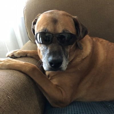 Profile Picture of Clay Harrell (@ClayHarrell) on Twitter