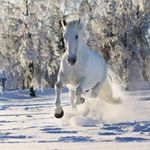 Profile Picture of Renelde Morneault (@reneldemorneault) on Instagram