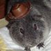 Profile Picture of Howard Beech (@howard.beech.94) on Facebook