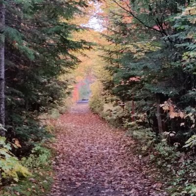 Profile Picture of Richard Simard (@richardsimard16) on Twitter