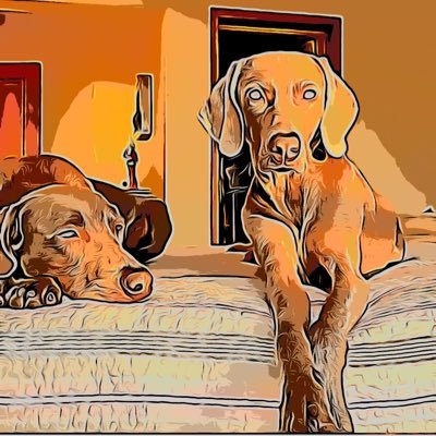 Profile Picture of Karen Bittner (@karenbittner) on Twitter
