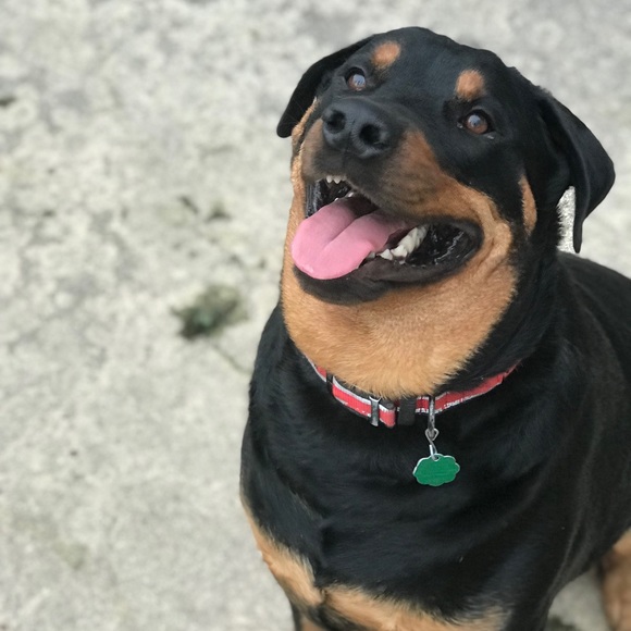 Profile Picture of Kelli Fording (@kfording) on Poshmark