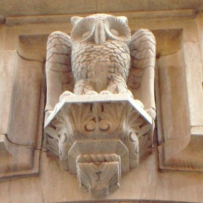 Profile Picture of Verzell Crimley (Michael Loris) (@michael_glick_s) on Twitter