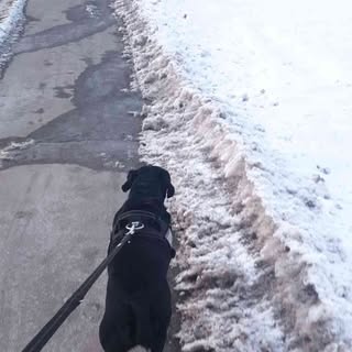 Profile Picture of Richard Obermeier (@richardobermeier) on Instagram