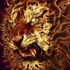 Profile Picture of Naveen Malik (@naveenmalik8780) on Twitter