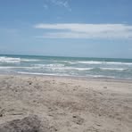 Profile Picture of Allen Batchelor (@Allen-Batchelor) on Facebook