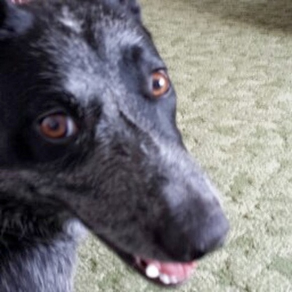 Profile Picture of Maleah Benttine (@maleahbenttine) on Poshmark