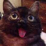 Profile Picture of Tarantola (@robertinotrf) on Instagram