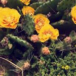 Profile Picture of Ian Russo (@ian._.photos) on Instagram