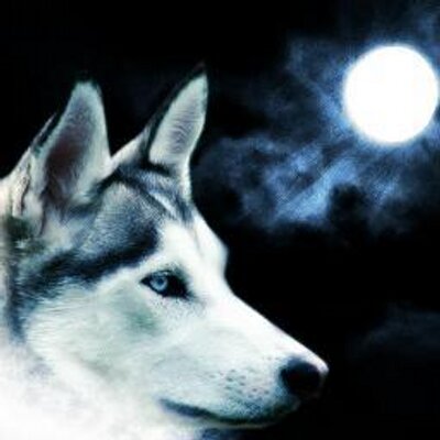 Profile Picture of Anton Despina (@DespinaAnton) on Twitter