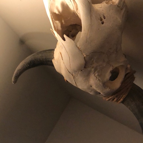 Profile Picture of Jon Olivieri (@jonolivieri) on Poshmark