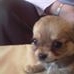 Profile Picture of Jill Bennett (@jill.bennett.12139) on Facebook
