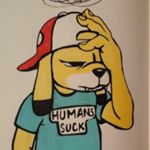 Profile Picture of John Barbosa (@elblino) on Instagram