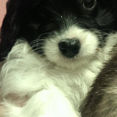 Profile Picture of Sarah Lythaby (@sarah55721) on Twitter