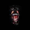 Profile Picture of Danny Hong (@@dannyhong7) on Tiktok