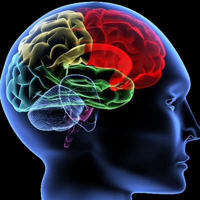 Profile Picture of SCOTT DOWDS (@sdowds69) on Twitter