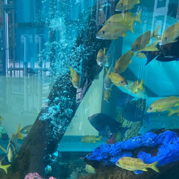 Profile Picture of Erika Stadter (@erikastadter) on Poshmark