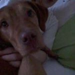 Profile Picture of Julia Vinzons (@agamannamayah) on Instagram