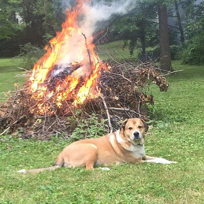 Profile Picture of Connor Perry (@CEPerry21) on Twitter