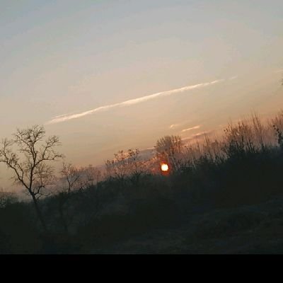 @__collab_7 - Twitter Profile Picture of @__collab_7 (@CloeCayol) on Twitter