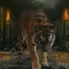 Profile Picture of Bill (@www.tiktokwildbill) on Tiktok