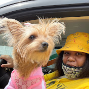 Profile Picture of Gladys Jackson (@gjacksen) on Youtube