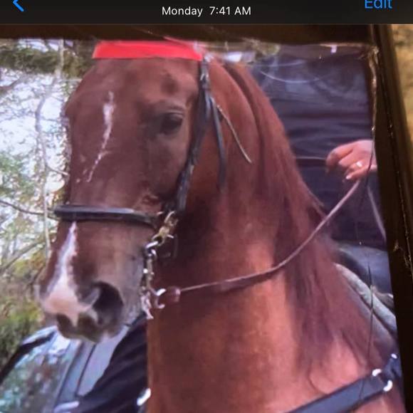 Profile Picture of Ronnie Dunbar (@addisynemommy) on Poshmark
