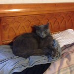 Profile Picture of Dominicktuck (@dominick_tuck_5242) on Instagram