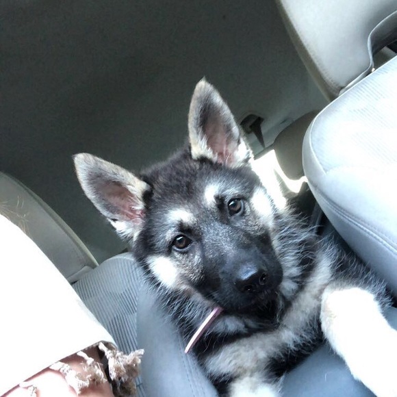 Profile Picture of Marion Benton (@mkbenton93) on Poshmark