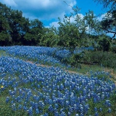 Profile Picture of Trevor Distad (@lima_bean2) on Twitter