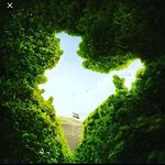 Profile Picture of heart Hecker (@kim_hung_joon) on Instagram