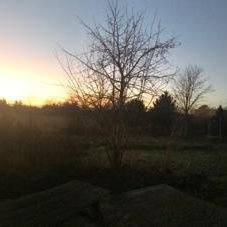 Profile Picture of Jacob Berns (@JacobBerns3) on Twitter